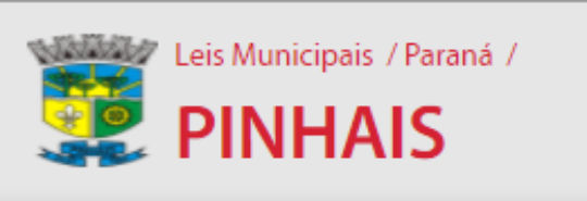 Read more about the article Vc sabia que Pinhais tem “O Dia da Stock Car”?